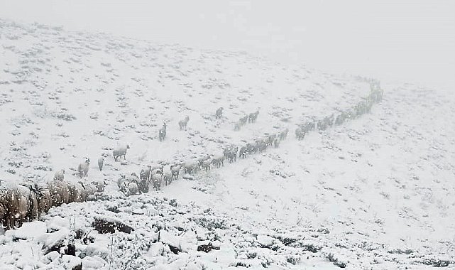 Aniden bastıran kar yağışı Yüksekova'yı beyaza bürüdü