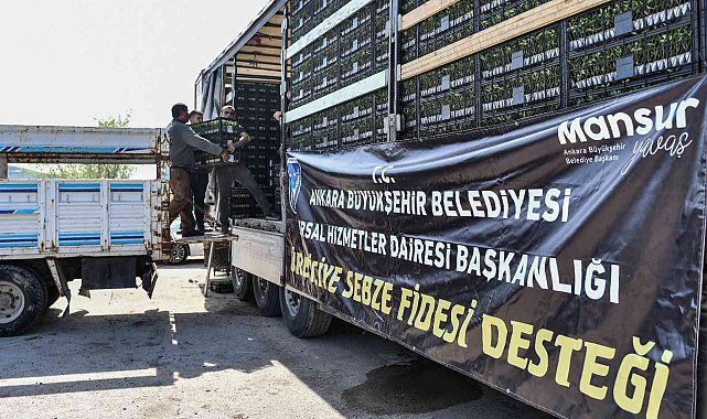 Ankara Büyükşehir'den çiftçilere sebze fidesi desteği