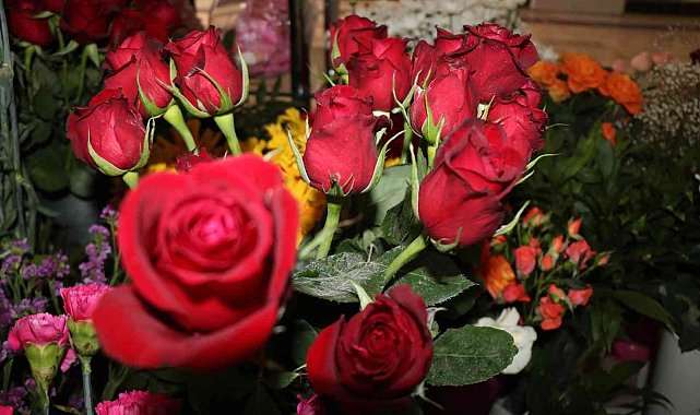 Anneler Günü'nde gülün adeti 25 TL