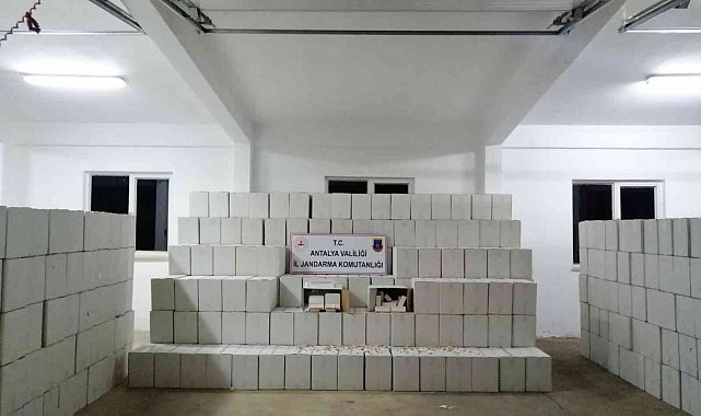 Antalya'da kaçak makaron taşımacılığına jandarma baskını