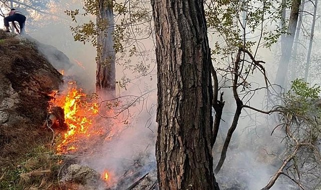 Antalya'da orman yangını