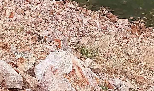 Araç dereye düştü: 4 yaralı