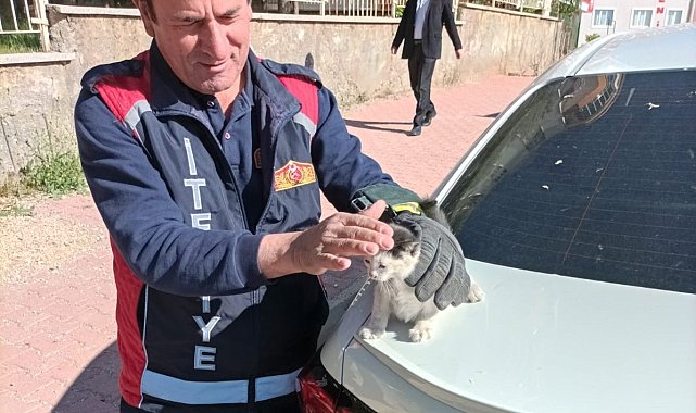 Aracın alt kısmına sıkışan kediyi itfaiye çıkarttı