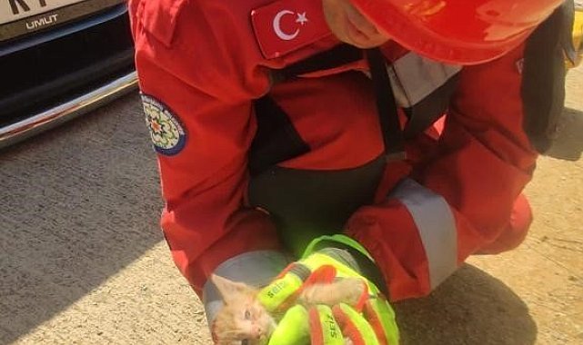 Aracın motor kısmına sıkışan kediyi itfaiye kurtardı