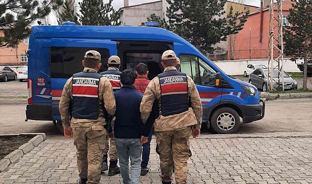 Ardahan'da 2 kaçak göçmen yakalandı