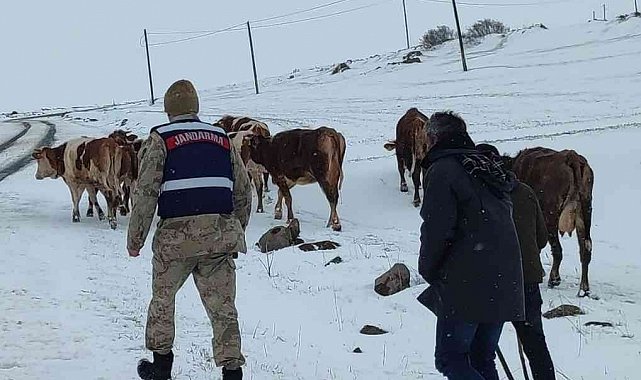 Ardahan'da hayvan otlatırken kaybolan yaşlı kadın bulundu