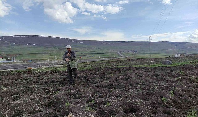 Ardahanlı çiftçiler mahsullerini iki ay geç ekti