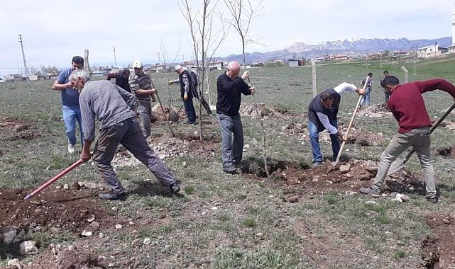 Aşkale'de 3 bin fidan toprakla buluştu
