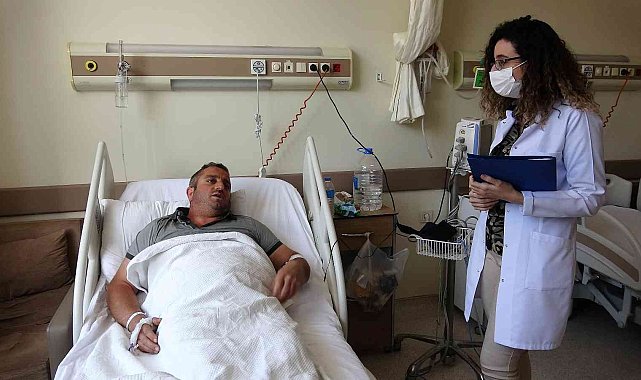 Ayıyı dize getirdi, keneye yenildi