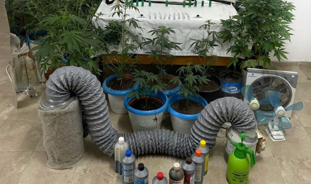 Ayvalık'ta uyuşturucu operasyonu