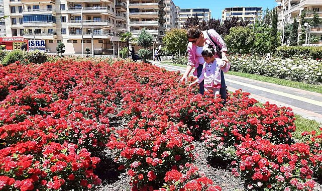 Bağlar Belediyesi Gül Parkı, değişik aktivite alanlarıyla huzurun adresi oldu