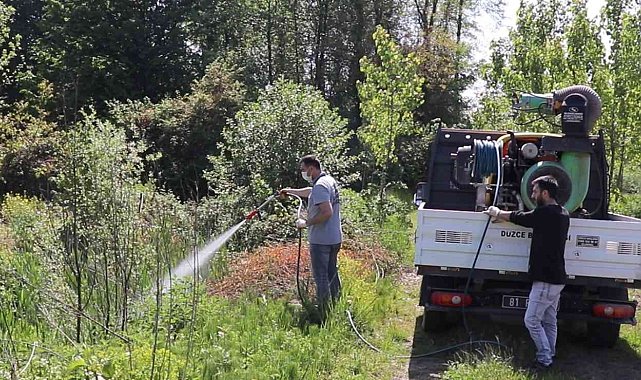 Bahar geldi ilaçlama hızlandı