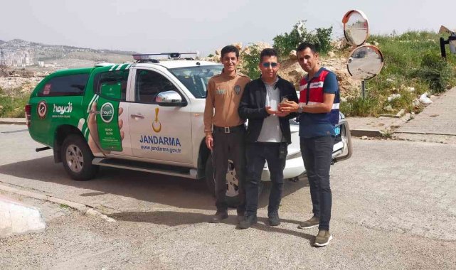 Bakıma muhtaç kedinin yardımına jandarma koştu