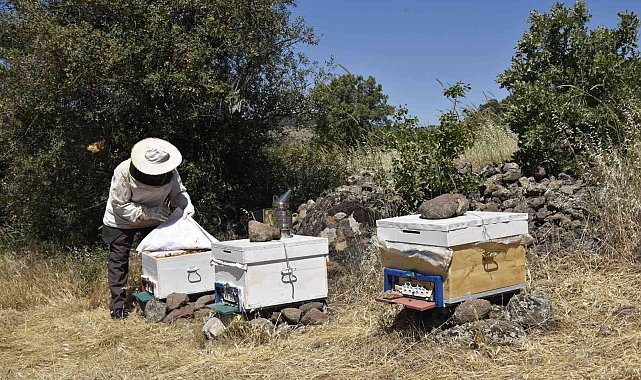 Bal üreticisi dağıtılan kovanlardan memnun
