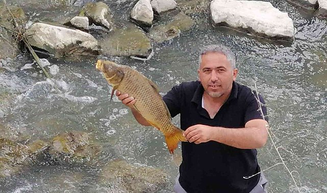 Balık ölümleri korkutuyor