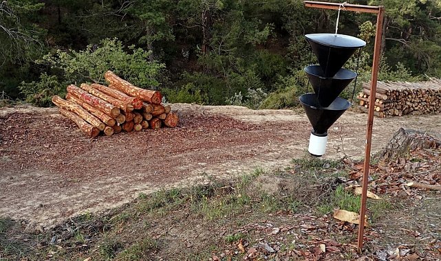 Balıkesir'de orman zararlılarıyla mücadeleye devam