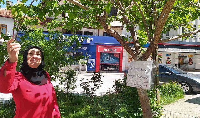 Balıklı Caddesi esnaflarından &quot;Olgunlaşmadan koparmayın&quot; uyarısı
