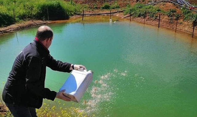 Bandırma Belediyesi haşereler için teyakkuzda