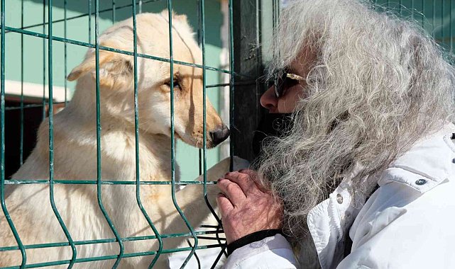Barınaktaki yavru köpeklerin bakımsızlıktan öldüğü iddiası tepkilere neden oldu