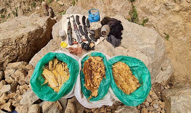 Başkale'de silah, mühimmat ve patlayıcı ele geçirildi