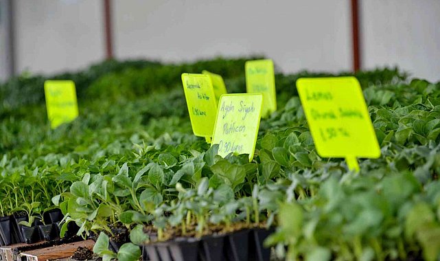 Başkan Kavuş: "Konya Fide Meram çiftçisinin rekabet gücünü arttırıyor"