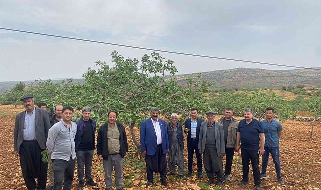 Başkan Sümer: "Bakanlığa afet ihbarında bulunacağız"