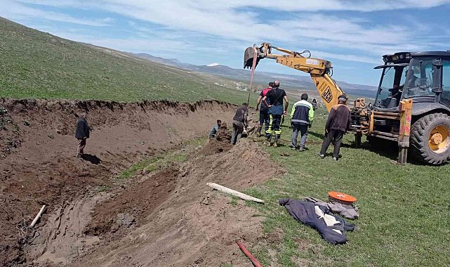 Bataklığa saplanan büyükbaş hayvan kurtarıldı