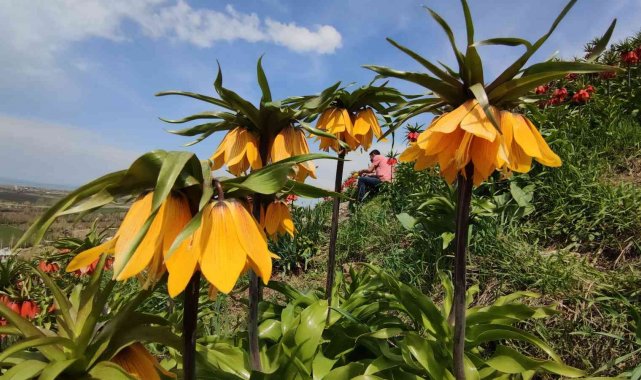 Bayramda Van'ın ören yerlerine ziyaretçi akını