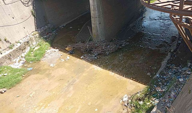 Belediye temizliyor, duyarsız vatandaşlar kirletiyor