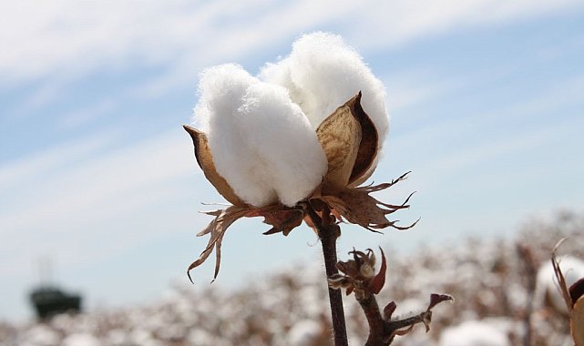 Beyaz altında destek ödemeleri başladı
