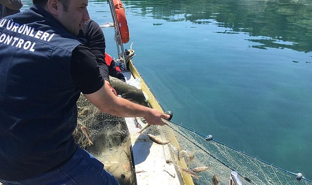 Bin metre misina ağa el konuldu