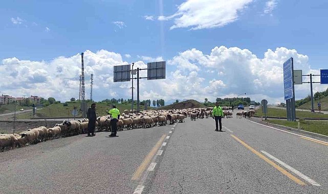 Bingöl polisi, karayolda ilerleyen göçerlerin güvenliğini sağladı