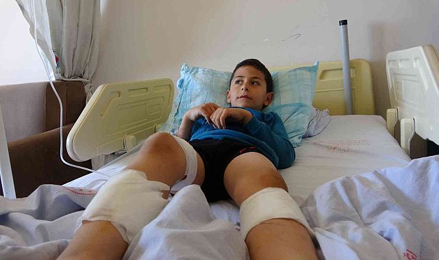 Bingöl&#039;de 7 yaşındaki çocuk, köpeklerin saldırısına uğradı