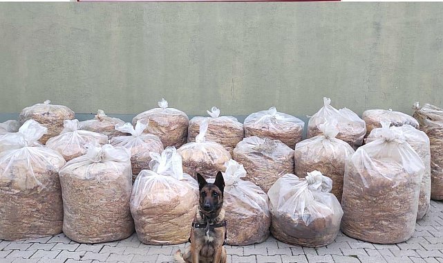 Bingöl'de 850 kilo yaprak tütünü ele geçirildi