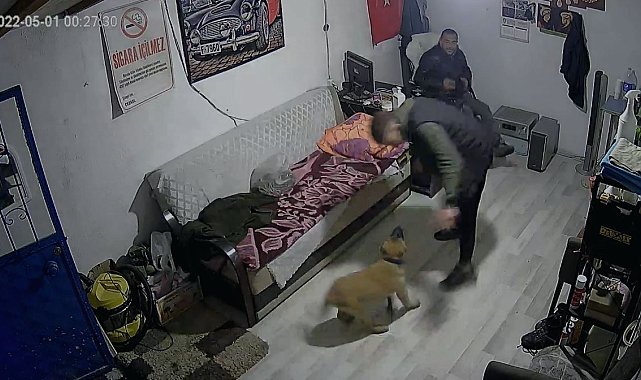 Bir anda havlayan köpekten aklı çıktı