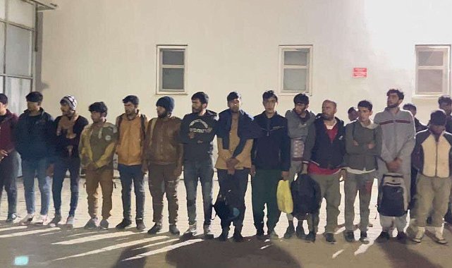 Bitlis'te 42 düzensiz göçmen yakalandı