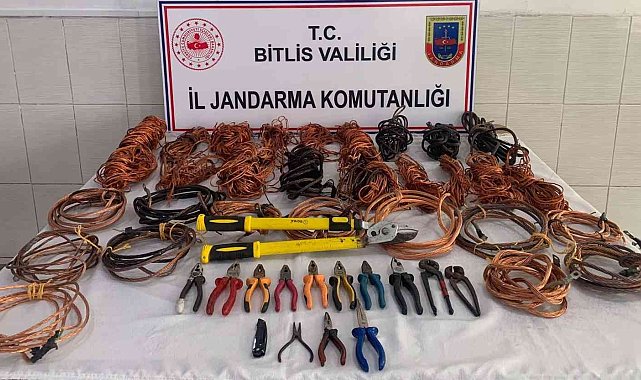 Bitlis'te 8 hırsızlık şüphelisi yakalandı