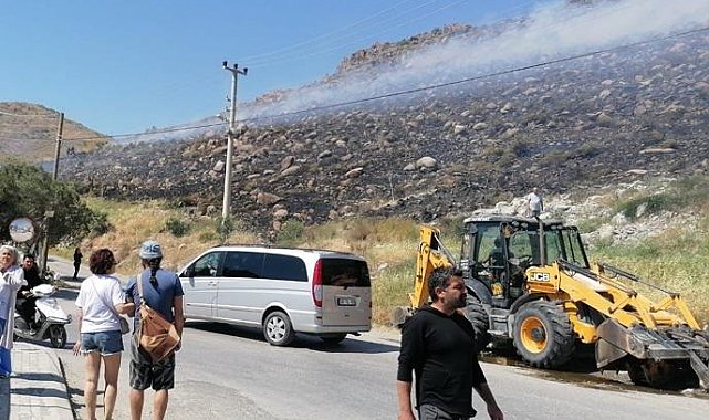 Bodrum'da otluk ve makilik alanda yangın