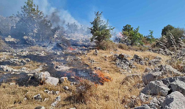 Bodrum'da otluk ve makilik alanda yangın
