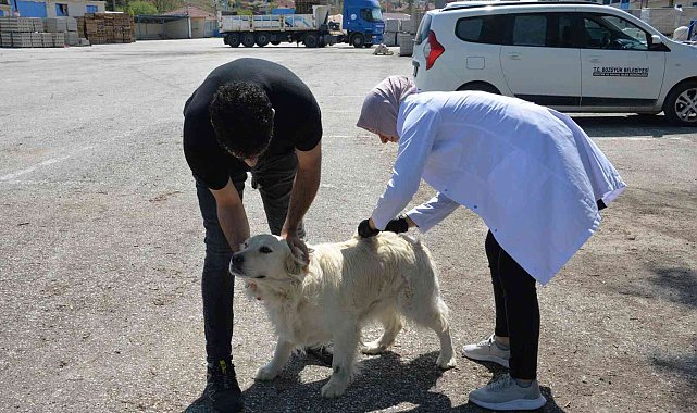 Bozüyük'te ücretsiz kuduz aşısı kampanyası