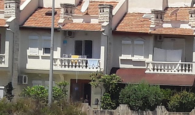 Bozyazı&#039;da sokak köpekleri tehlike saçıyor