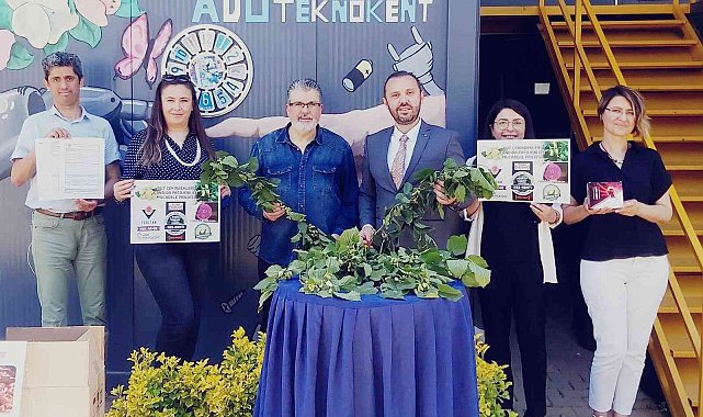 Bu defa beyaz dut çekirdekleri üzerinde çalıştılar, Candida Patojeni için umut oldular