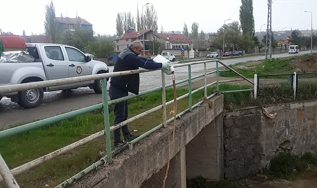 Bünyan'da sineklenmeye karşı ilaçlama yapıldı