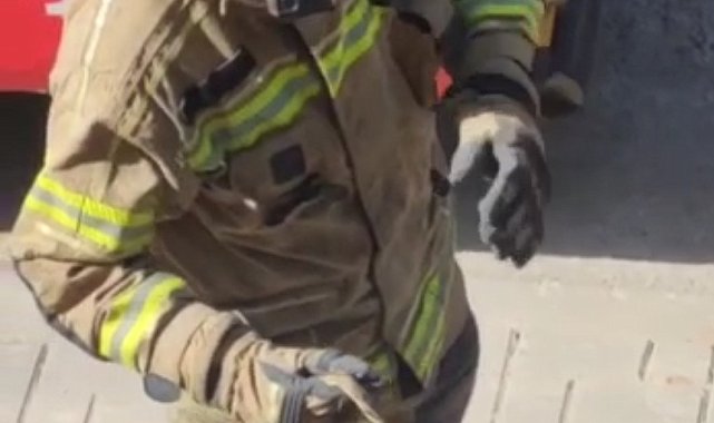 Bursa'da arabanın motoruna giren yılan itfaiye ekipleri tarafından çıkarıldı