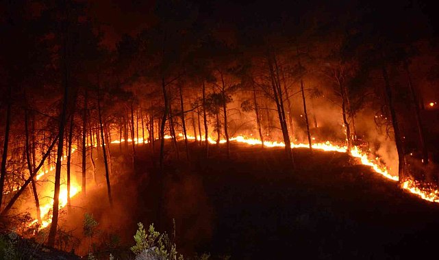 Bursa&#039;da ormanlık alanlarda mangal yakmak yasaklandı