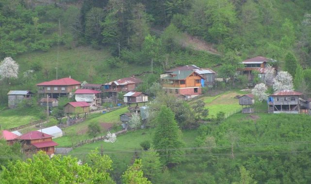 Büyük şehirlerde yaşam şartları zorlaşınca köylerine döndüler