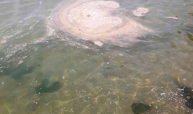 Büyükada açıklarında müsilaj benzeri kirlilik görüldü