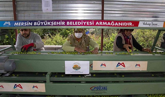 Büyükşehir Belediyesinden Mut'a bir erik boylama makinesi daha