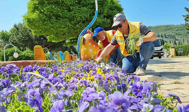Büyükşehir, Söke&#039;de yaza hazırlık çalışması yapıyor