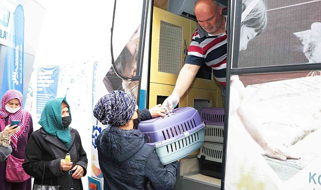 Büyükşehirden sokak hayvanlarına mobil kısırlaştırma